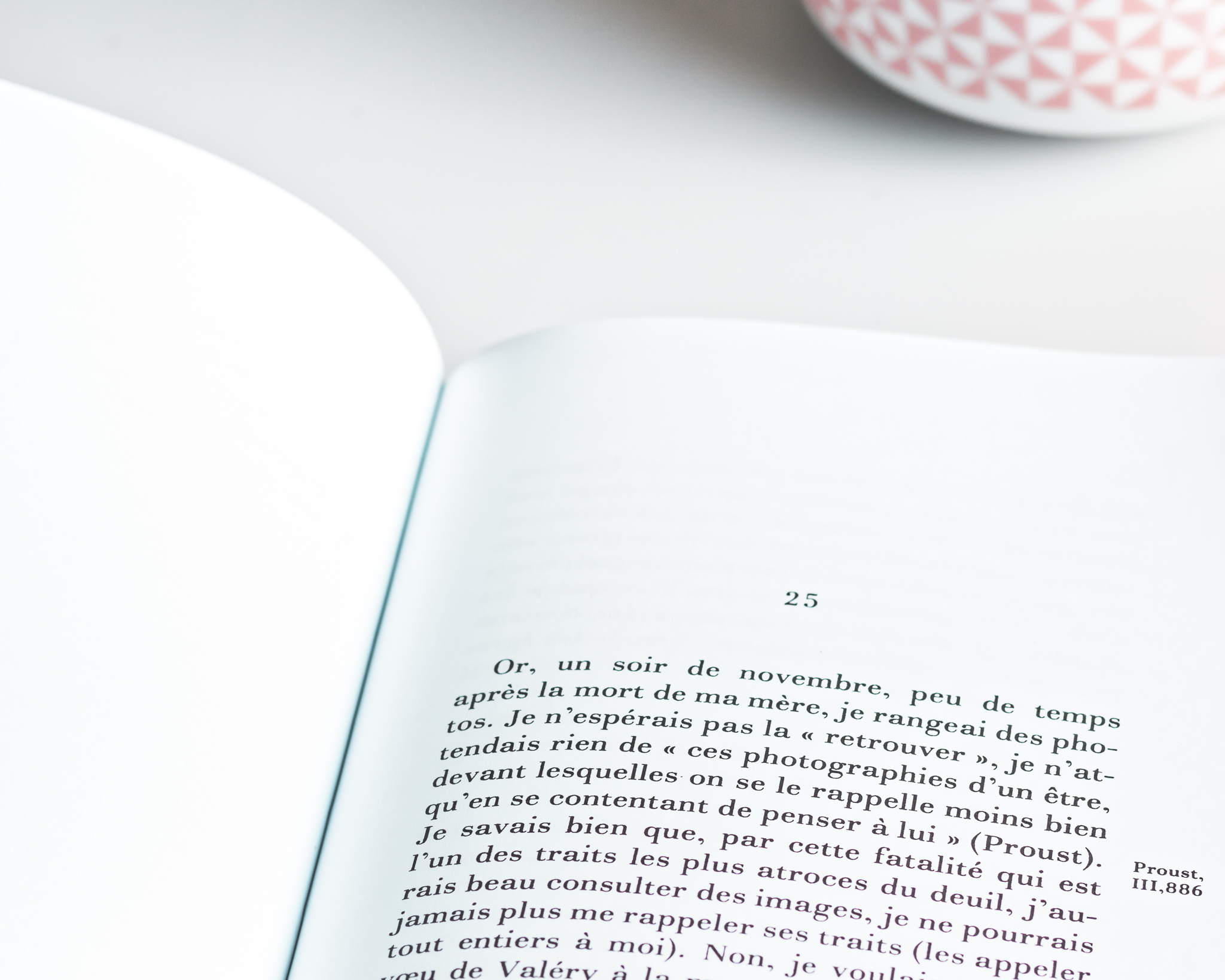 Roland BARTHES, La Chambre Claire - Par les yeux de la coccinelle